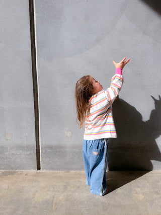 Brunswick Long Sleeve Ringer Tee - Pink Stripe