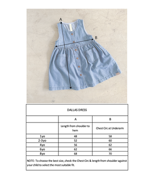 Dallas Dress - Dixie Blue