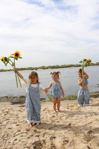 Austin Overall - Sunflower Check