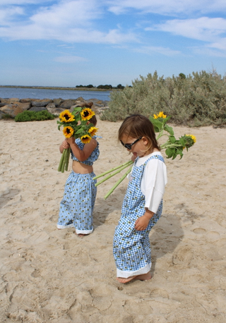 Austin Overall - Sunflower Check