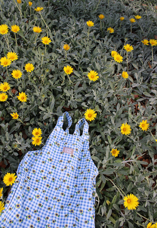 Austin Overall - Sunflower Check